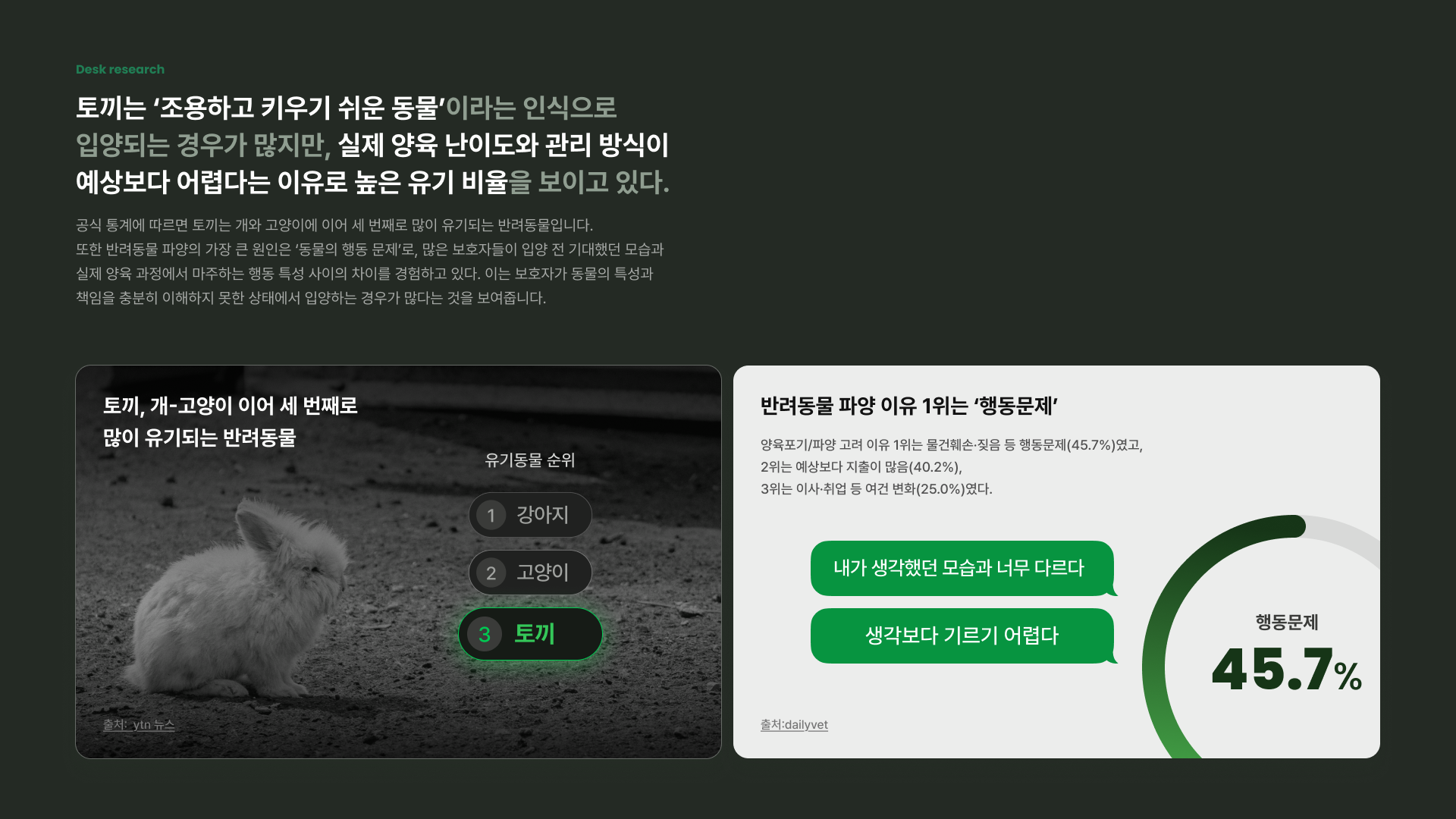 rabbit_2026 이미지 3