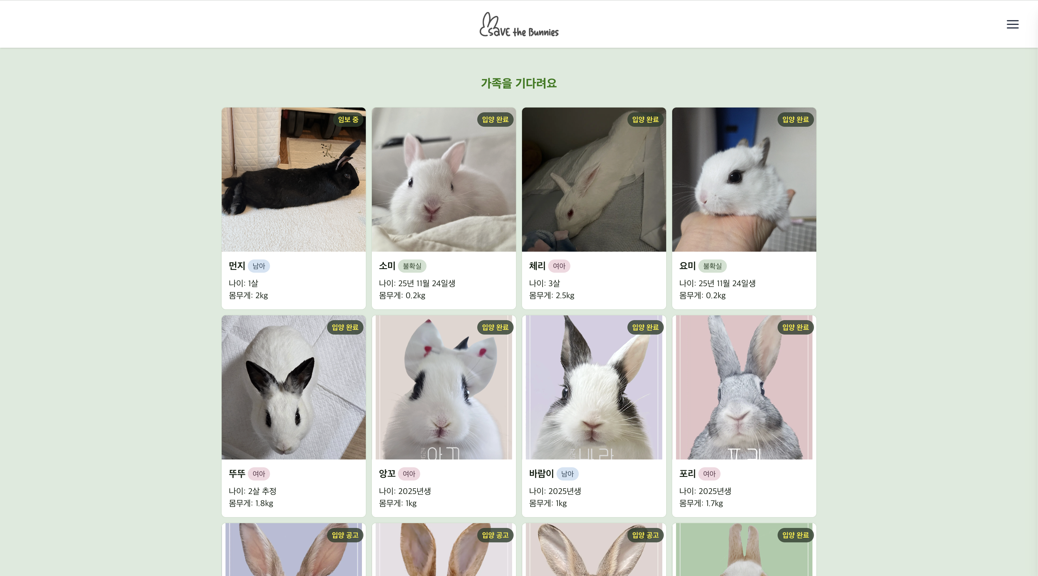 savethebunnies_2025 이미지 3