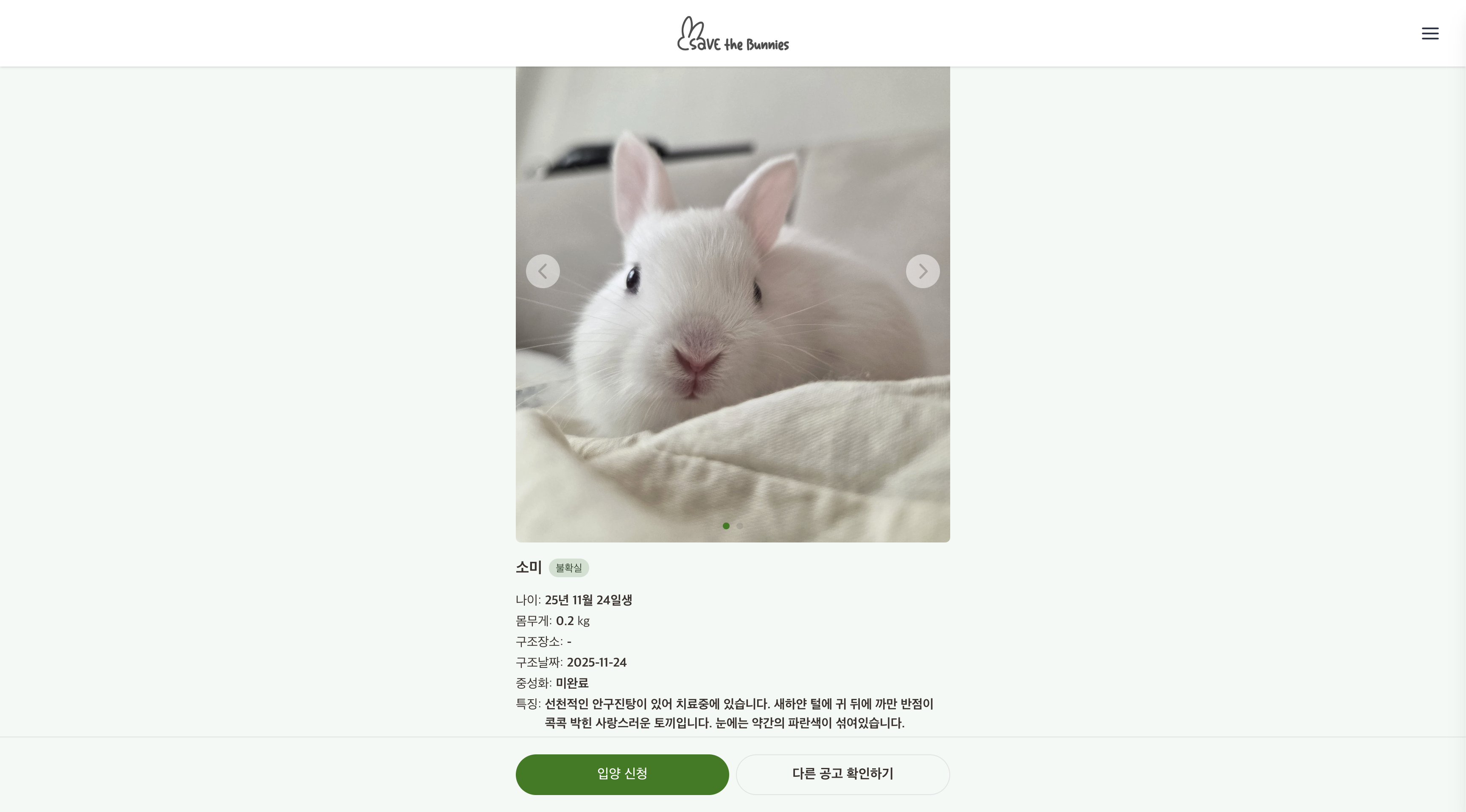 savethebunnies_2025 이미지 4
