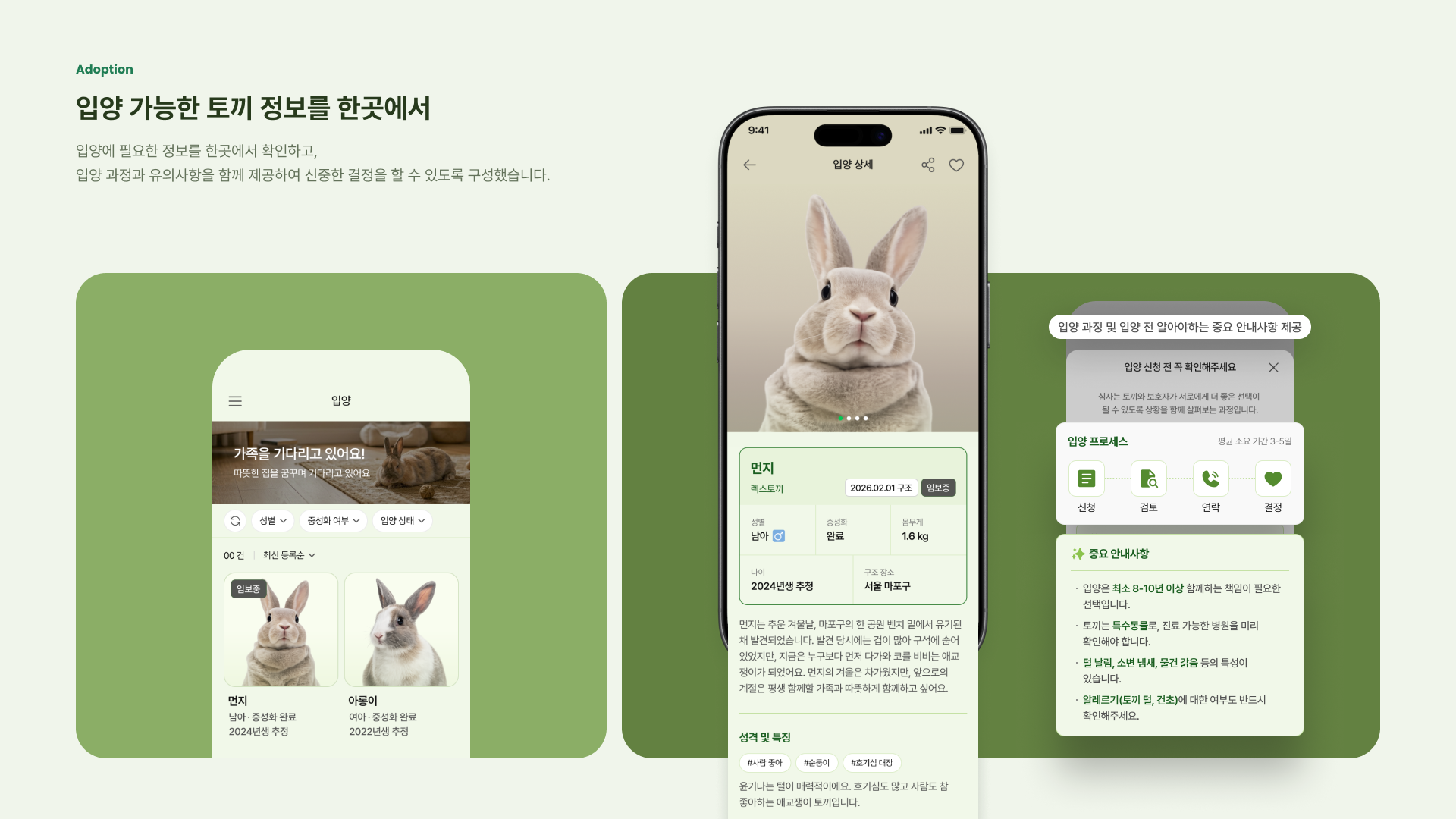 rabbit_2026 이미지 11